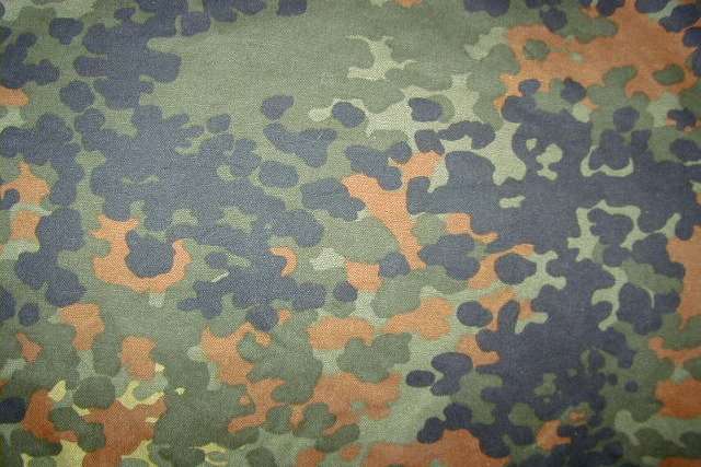 pride flag flecktarn.jpg