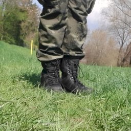 Flecktarn